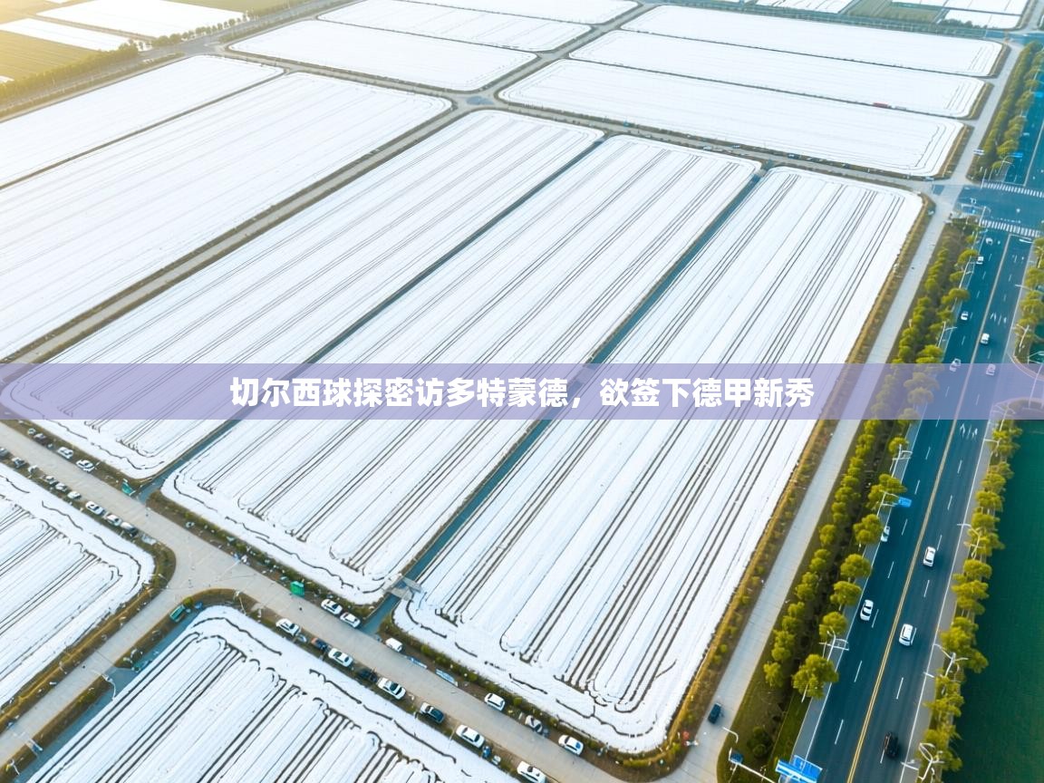 切尔西球探密访多特蒙德，欲签下德甲新秀  第2张